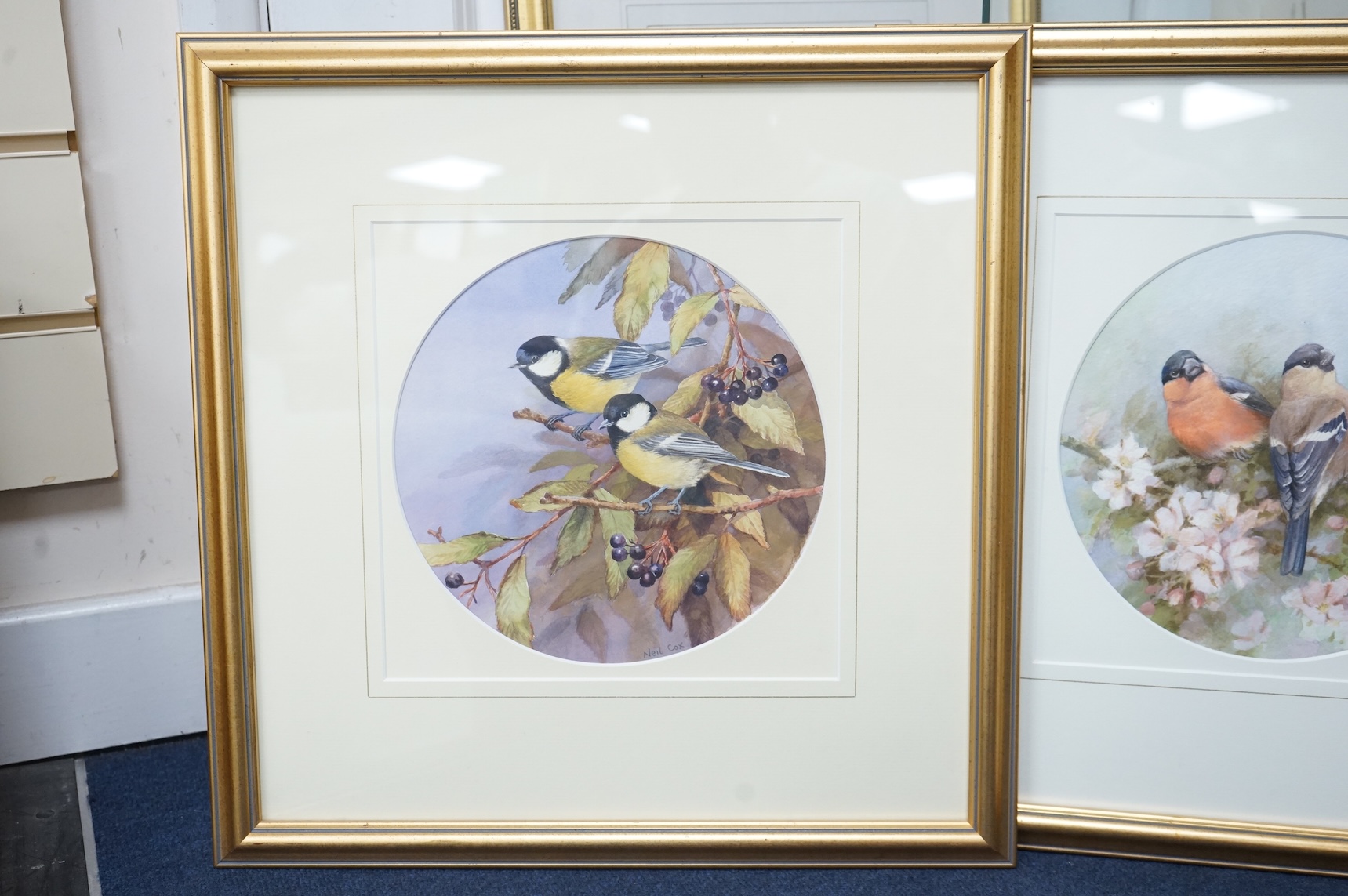 Neil Cox (b.1955), ‘Bull finches’ and ‘Great tits’, signed, pair of watercolours, tondo, 22cm